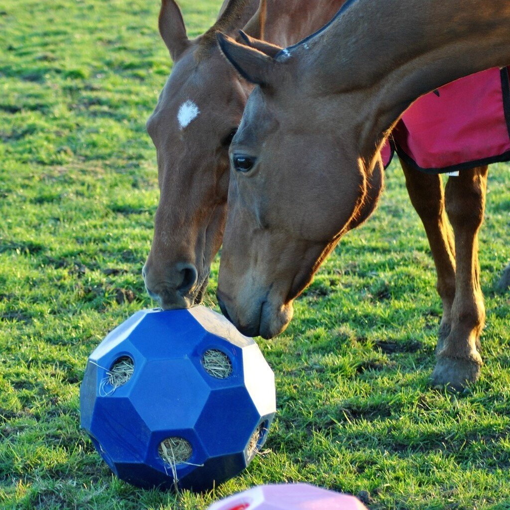 Happy Hay Play Futterball für Pferde Bild 9