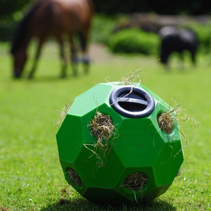 Happy Hay Play Futterball für Pferde Bild 4