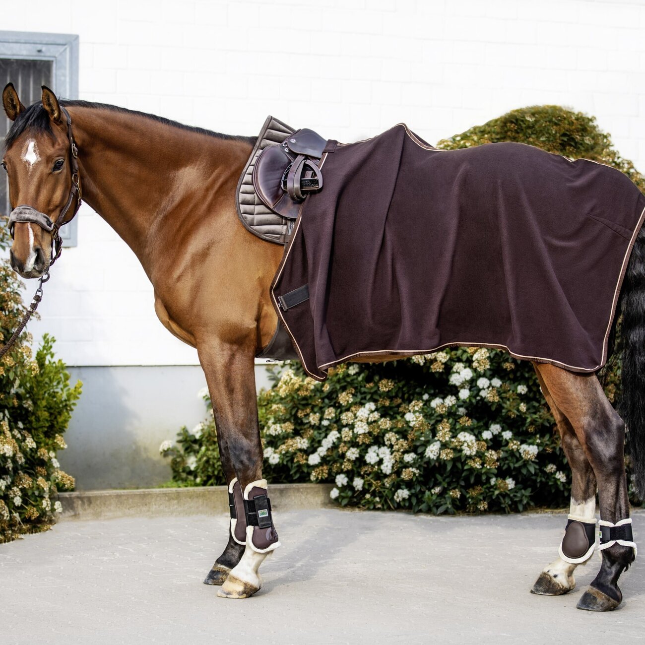 Kuschelige Polarfleecedecke Bild 4