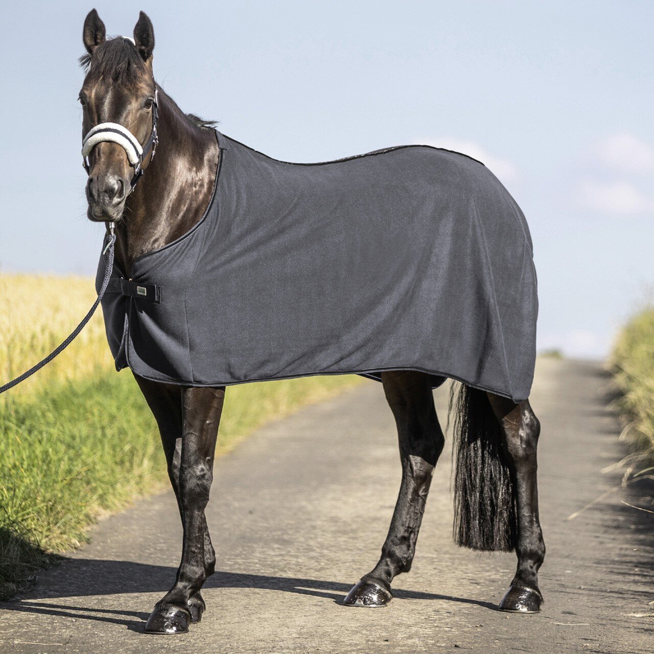 Kuschelige Polarfleecedecke Bild 5