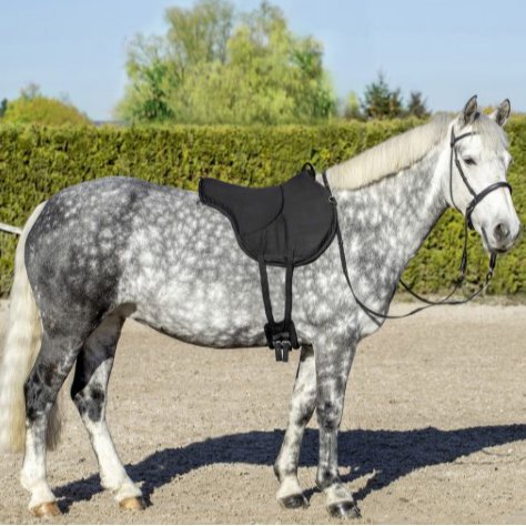Reitkissen Bareback Bild 2