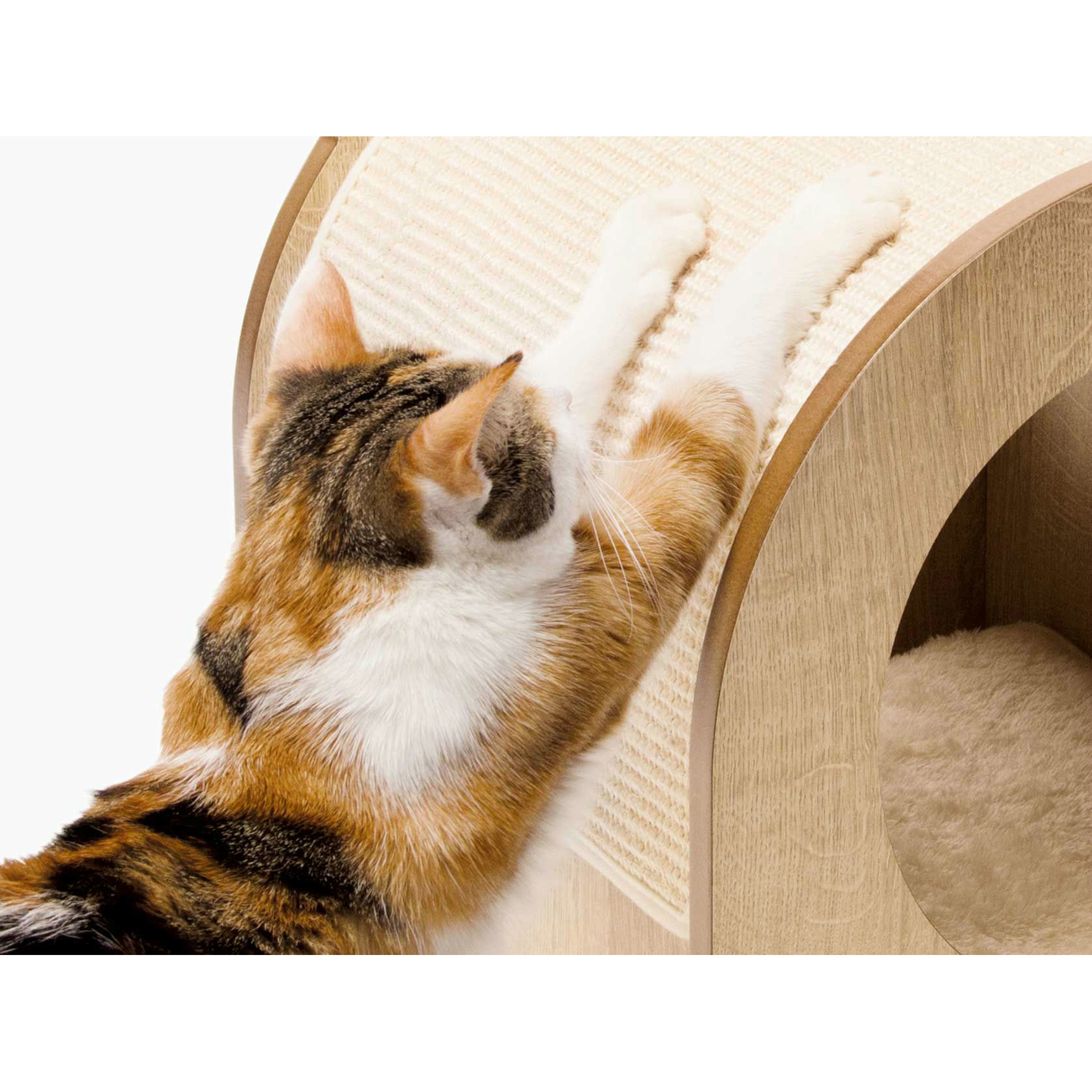 Vesper Katzen Kratzbank Minou Bild 5