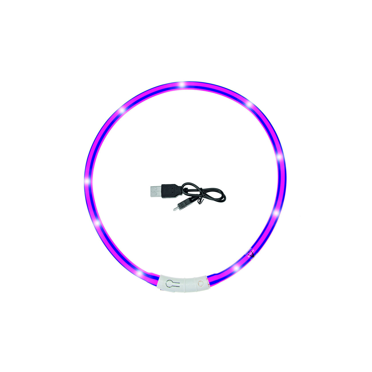 Visio Light Leuchthalsband für Hunde Bild 22