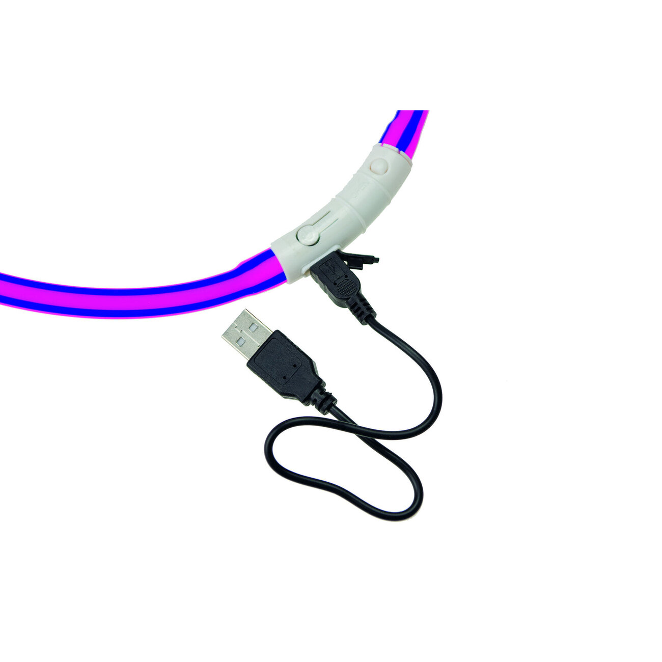 Visio Light Leuchthalsband für Hunde Bild 23