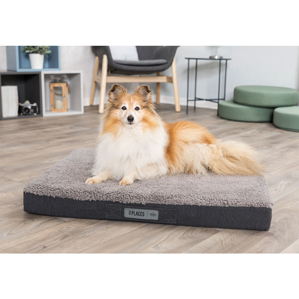 Vital Hundekissen Bendson Memory Effekt Bild 2