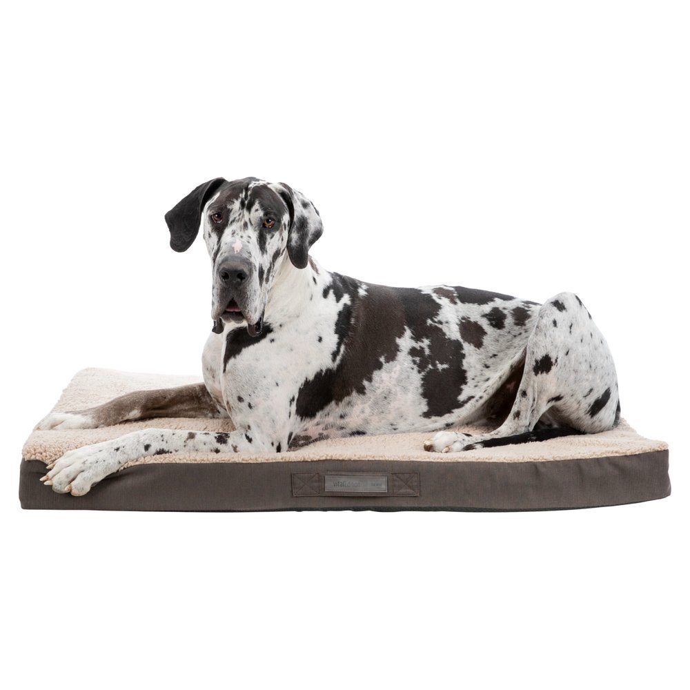 Vital Hundekissen Bendson Memory Effekt Bild 6