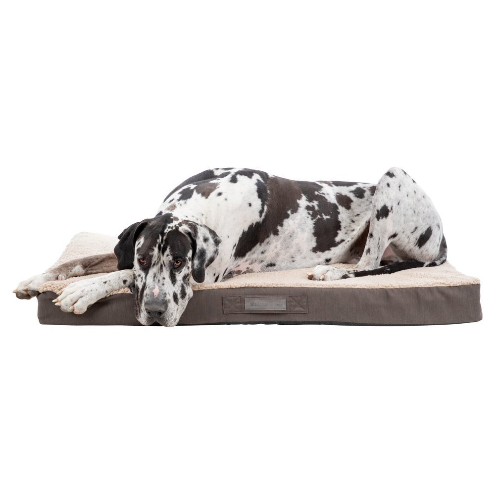 Vital Hundekissen Bendson Memory Effekt Bild 7