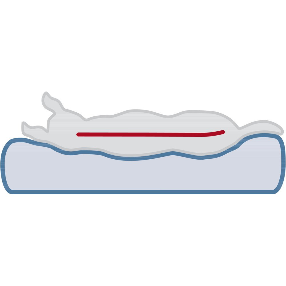 Vital Hundekissen Leano Bild 4