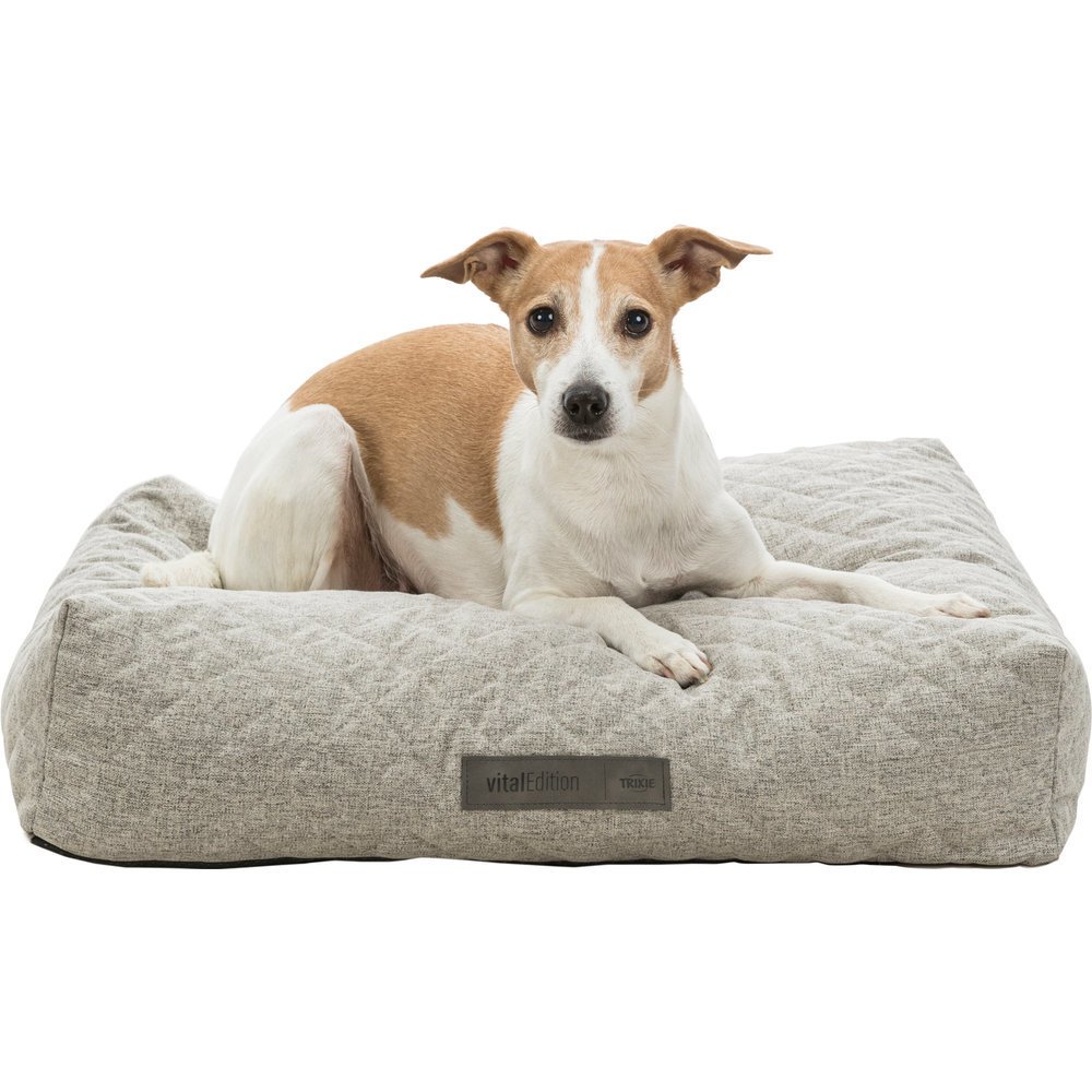 Vital Kissen Noah Bild 3