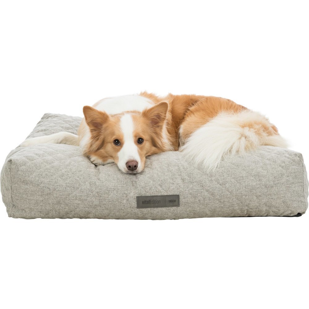 Vital Kissen Noah Bild 8