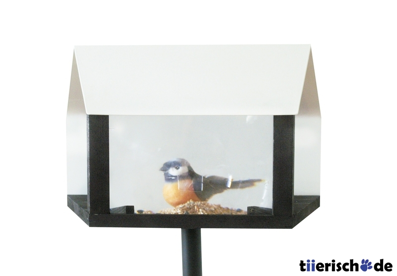Vogelhäuschen Spot mit Vergrößerungsglas Bild 1