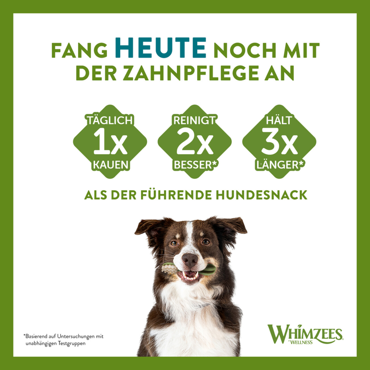 WHIMZEES® Reisknochen Zahnpflege Hundesnack Größe: M/L Bild 5