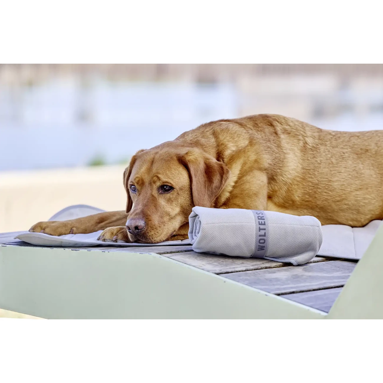 watchout Kühlmatte Bild 2