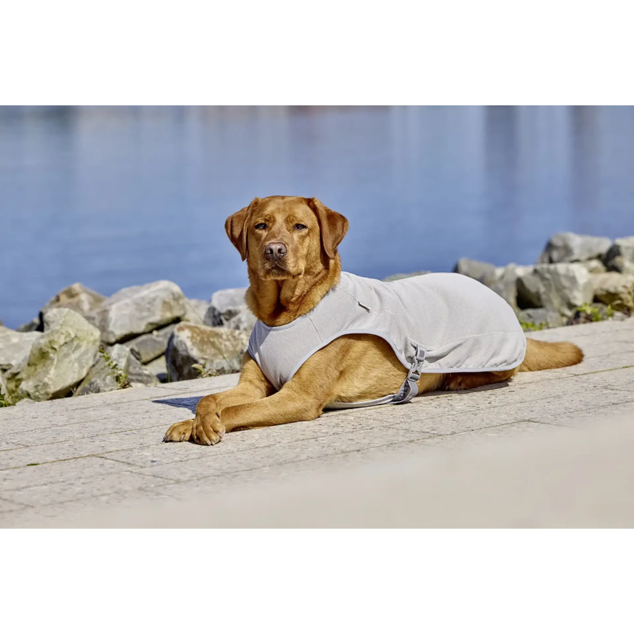 watchout Kühlweste Bild 1