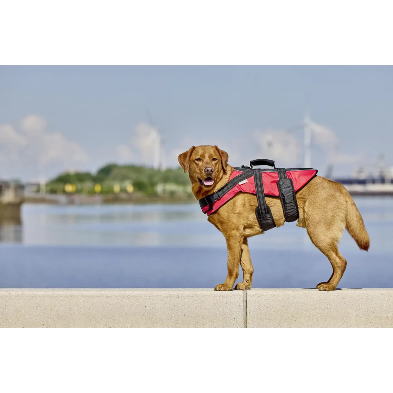 watchout Schwimmweste Bild 2