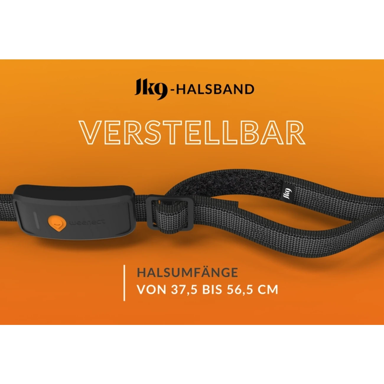 XT GPS Tracker für Hunde mit Lebenslanger Garantie Bild 4