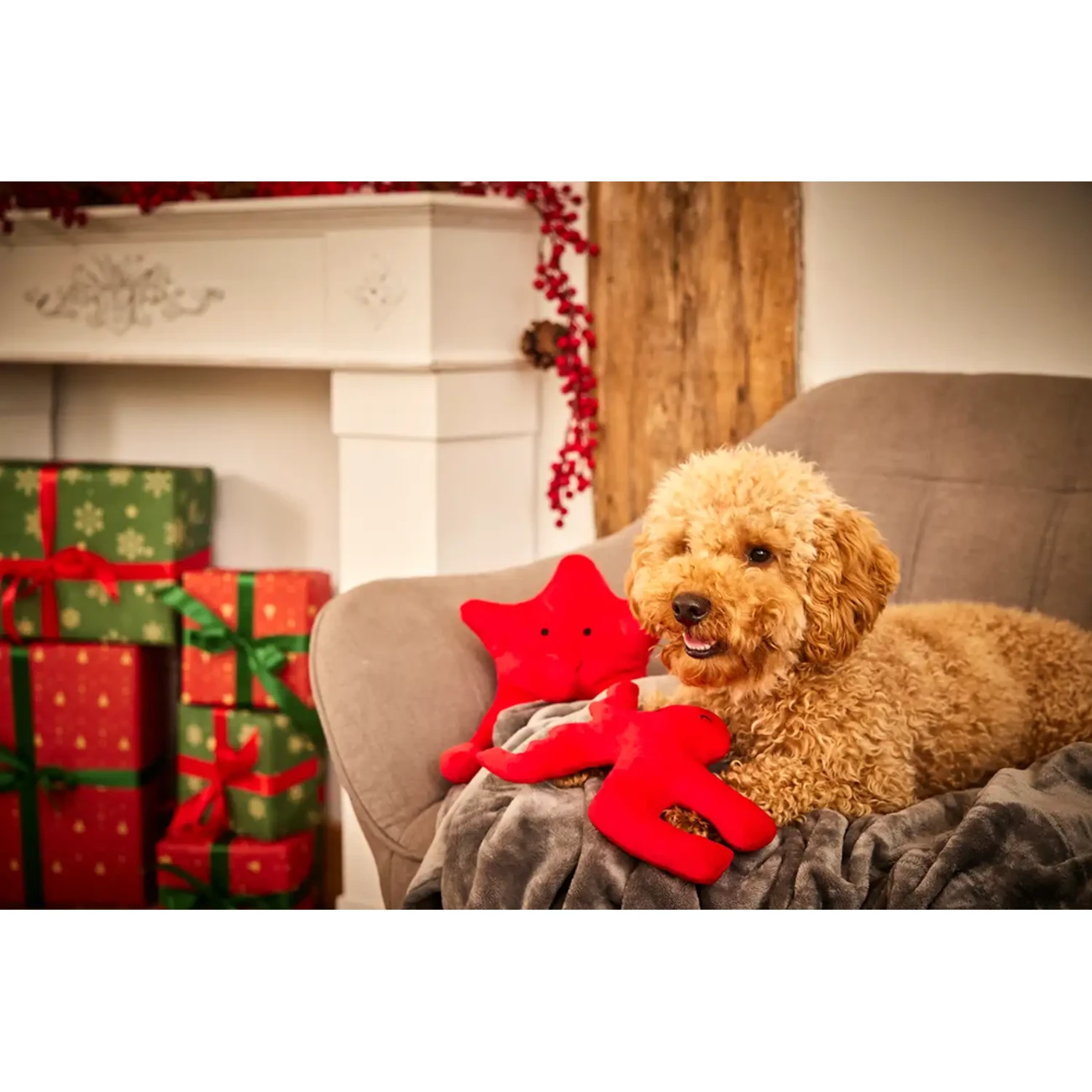 Xmas Weihnachten Christmas Range Hundespielzeug aus Softplüsch Bild 4