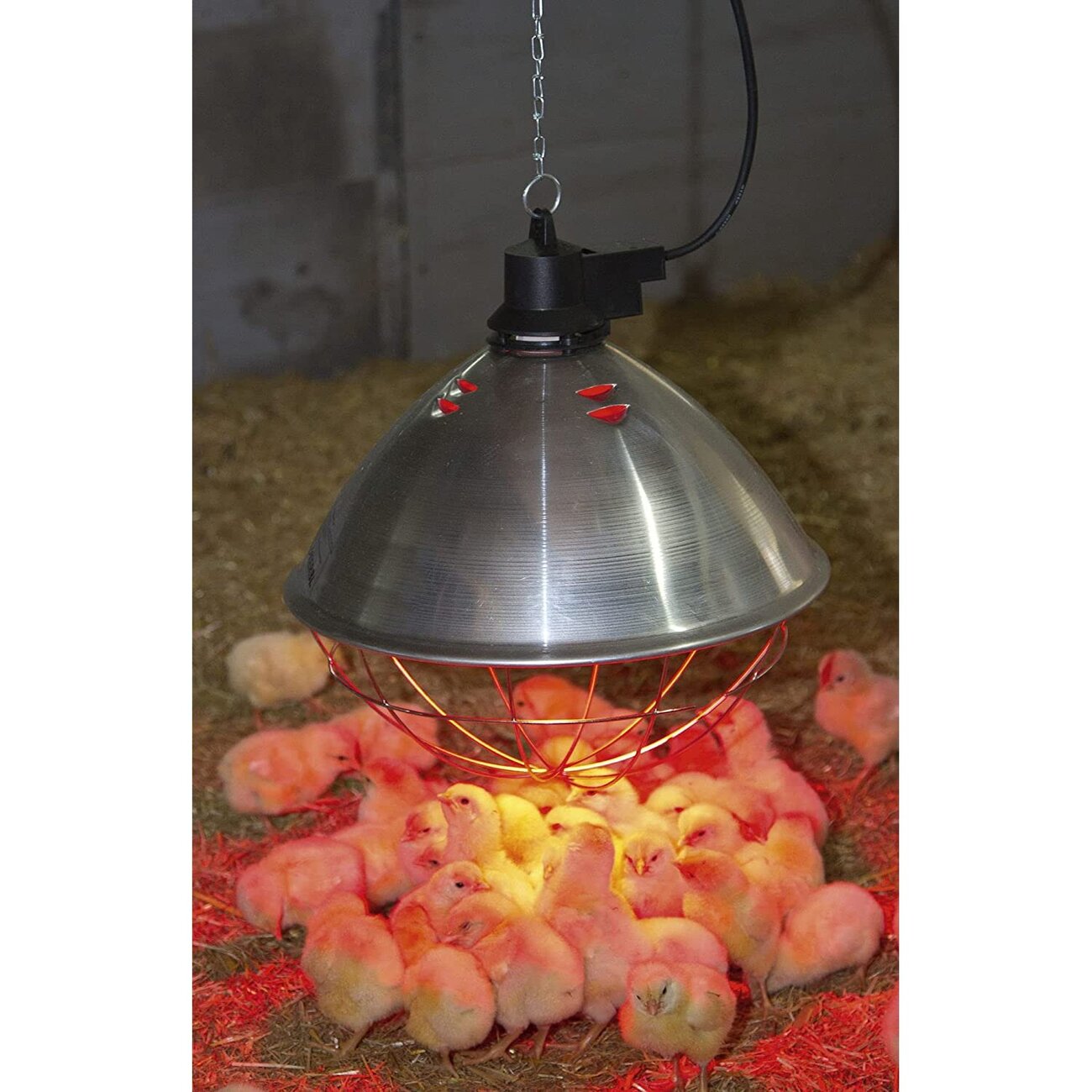 Wärmestrahlgerät Infrarot Bild 2