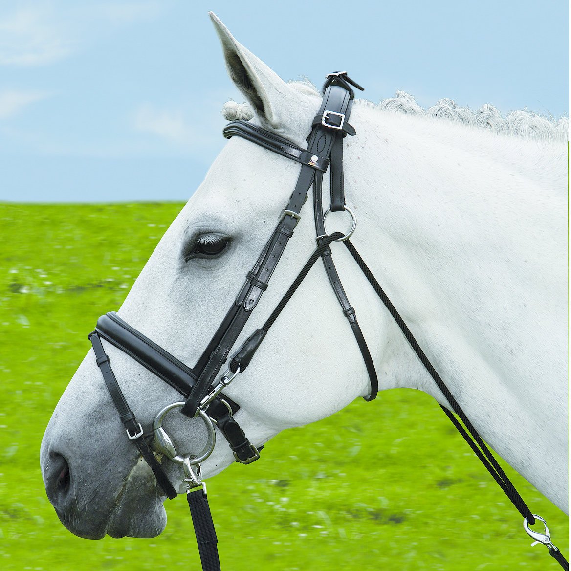 Chambon mit Stoßzügeln Bild 2