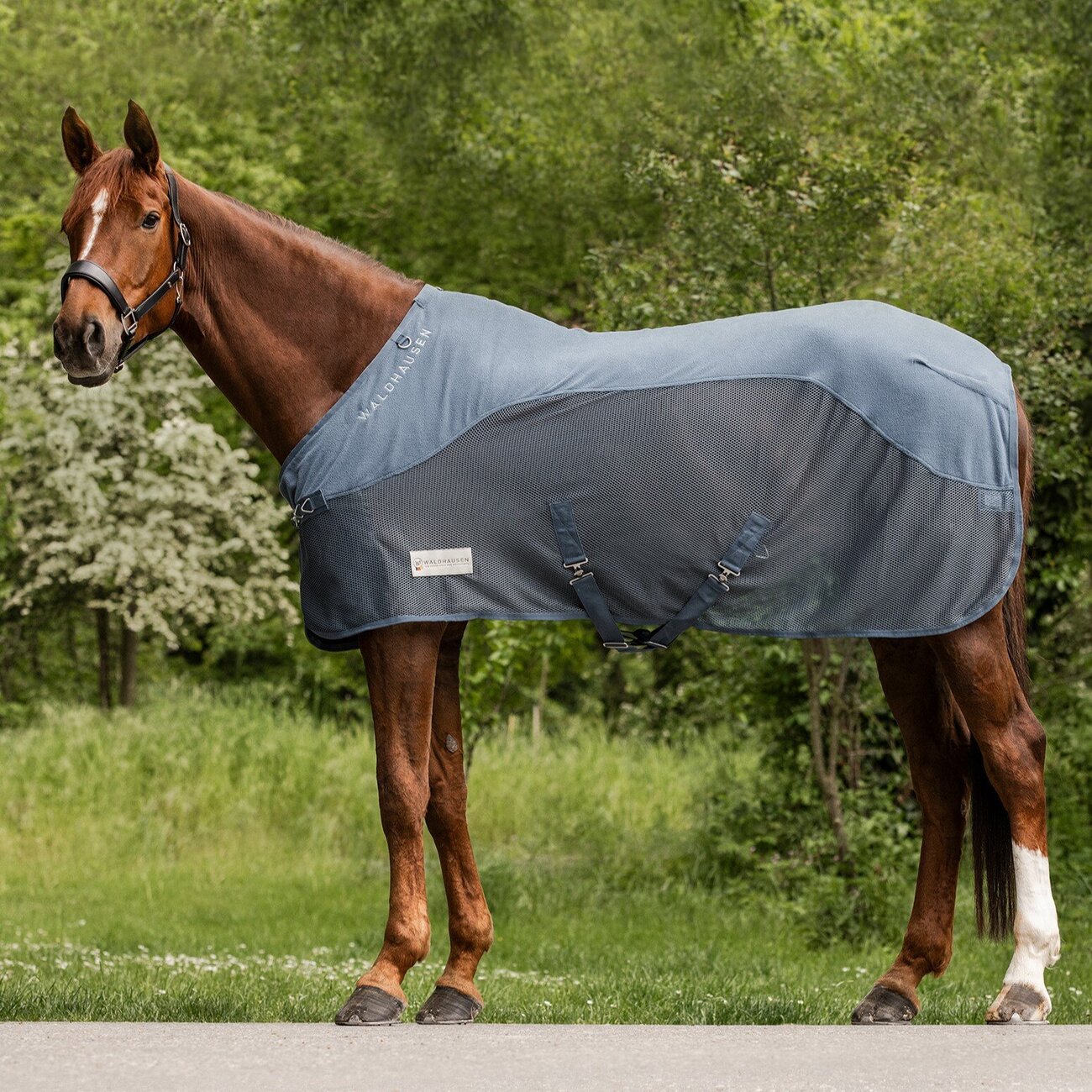 Fleece Fliegendecke Komfort für Pferde Bild 3