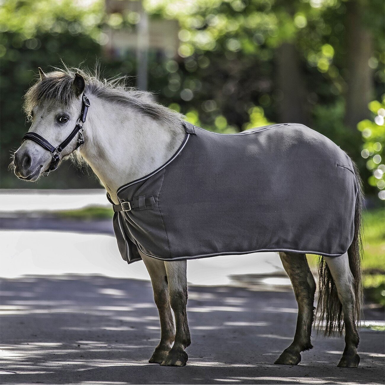 Fleecedecke Economic Bild 2