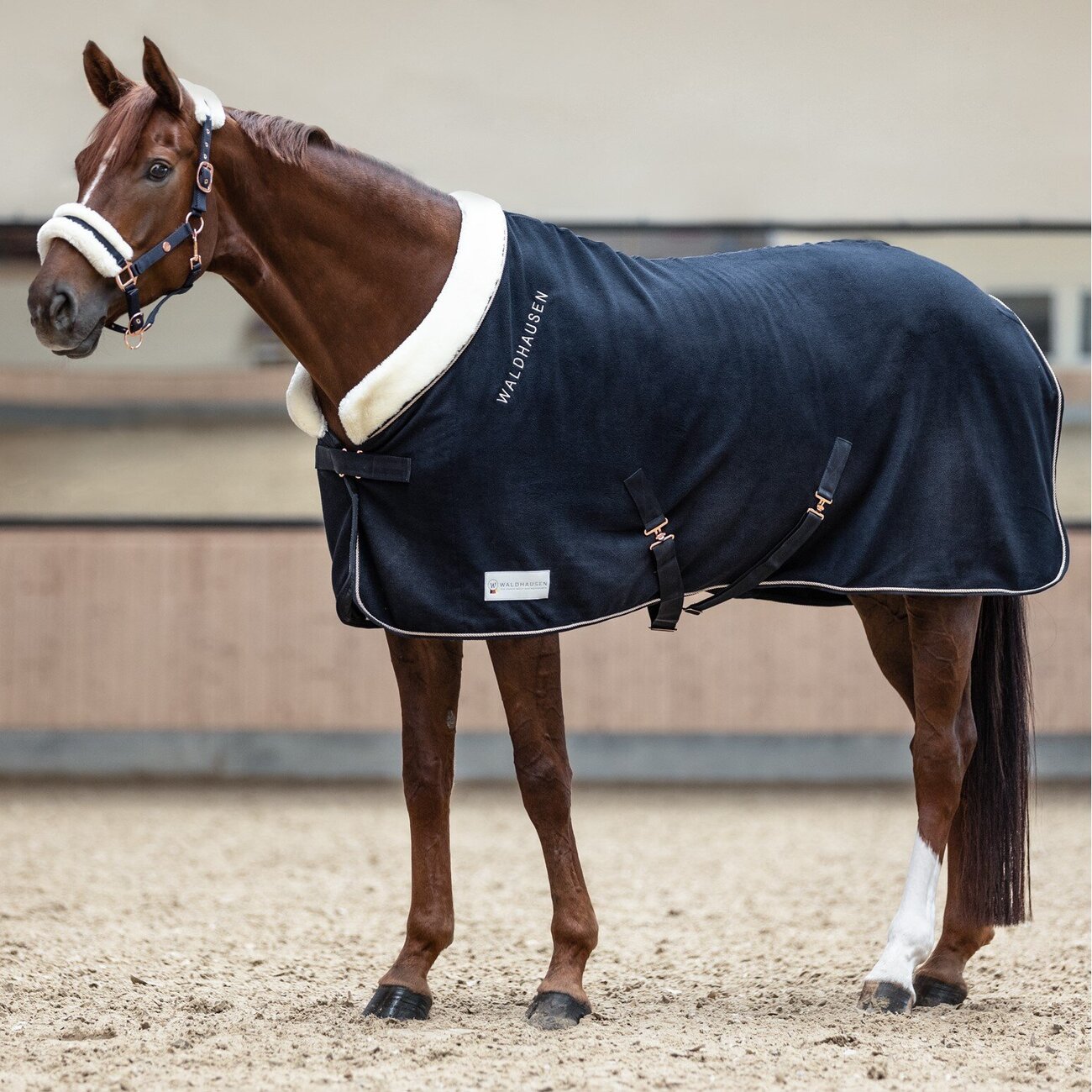 Fleecedecke Modern Rose Bild 5