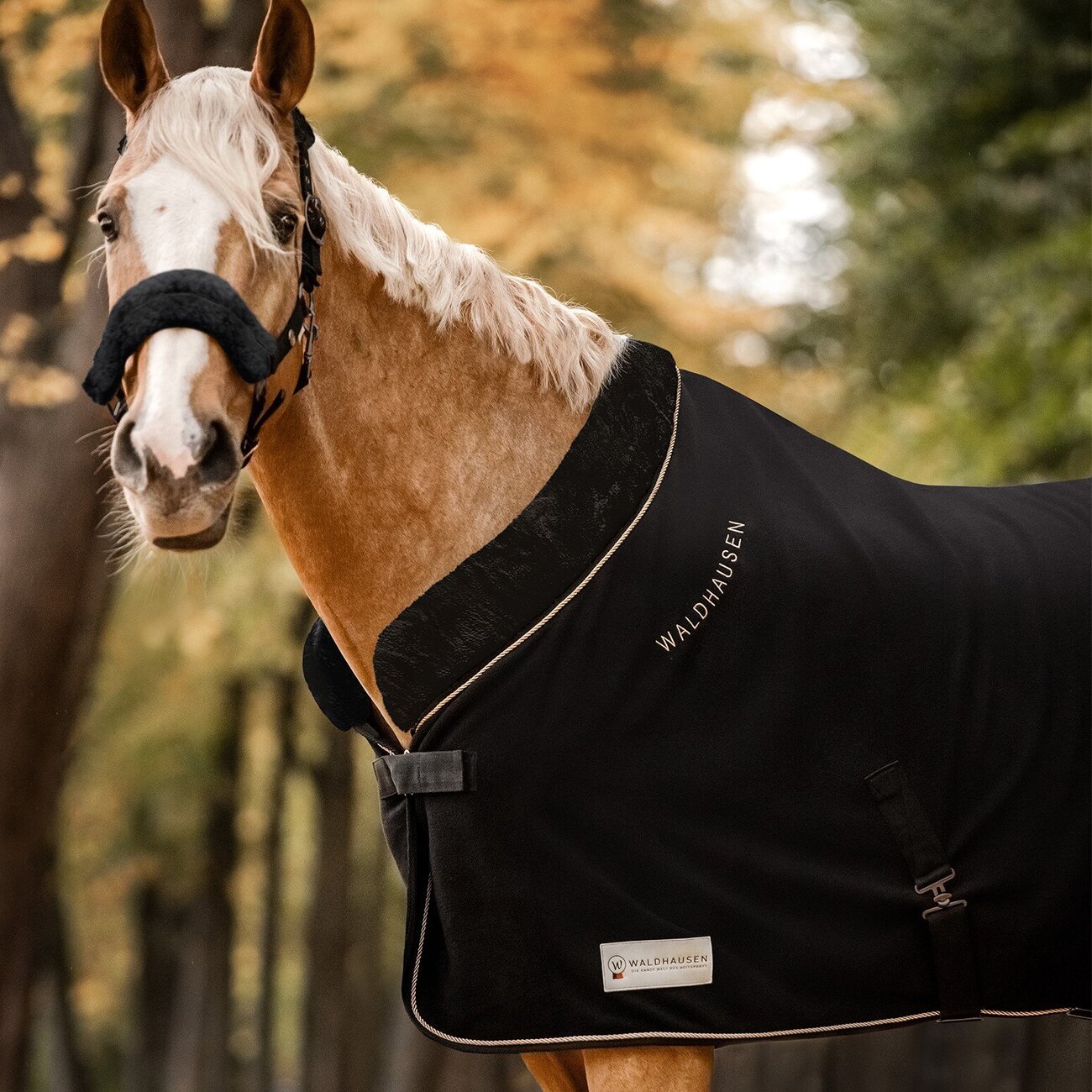 Fleecedecke Modern Rose Bild 8