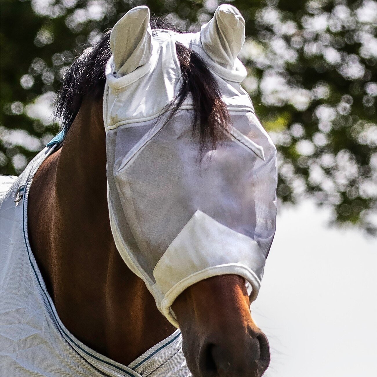 Fliegenmaske Für Pferde Mit UV-Schutz - Atmungsaktiv Mit Ohrenschutz