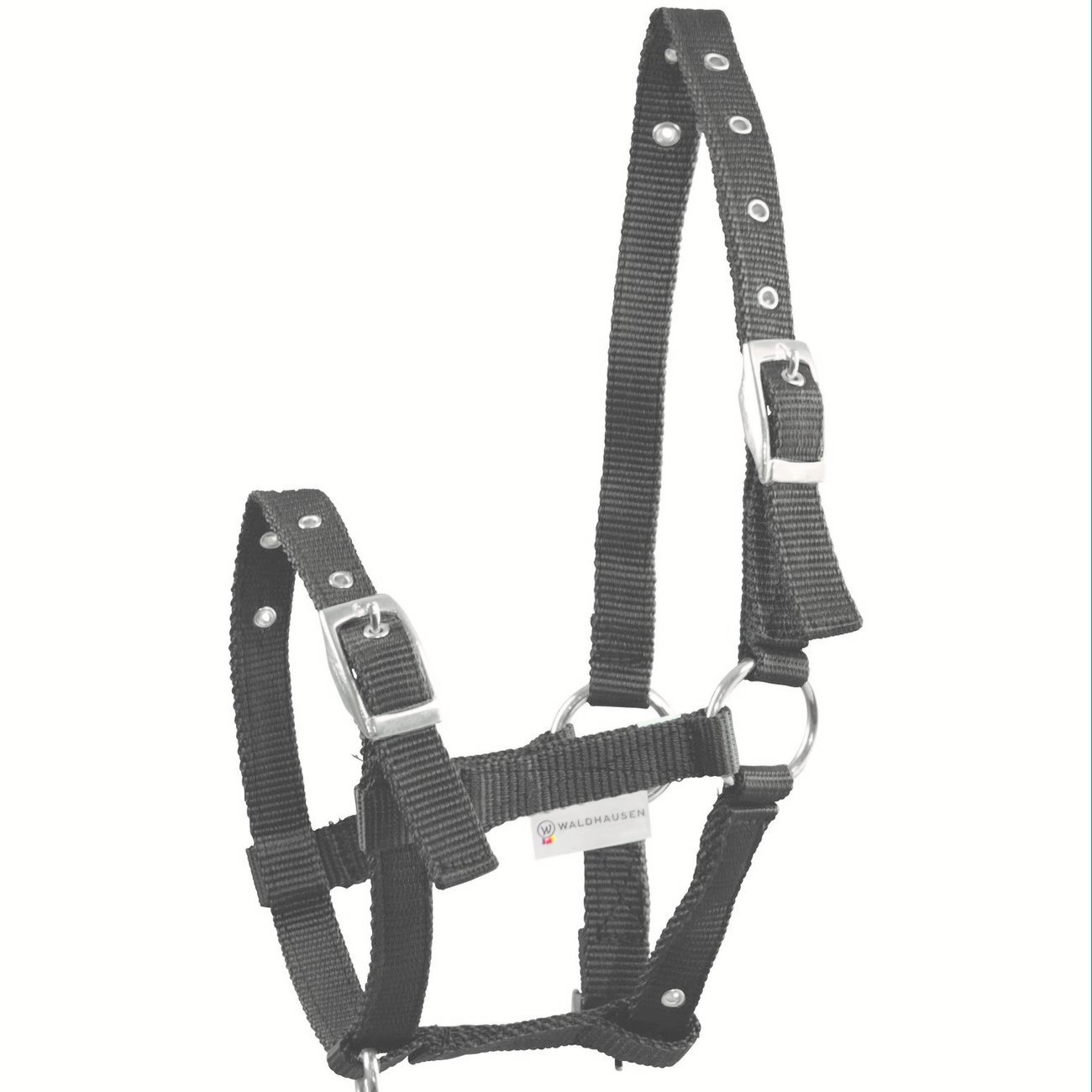 Fohlenhalfter Triple Bild 2