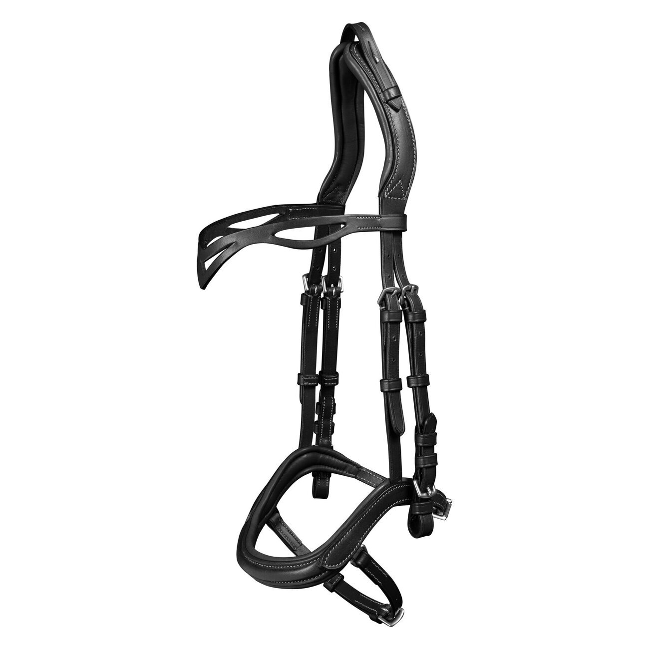 Island Trensenzaum Anatomic Bild 3