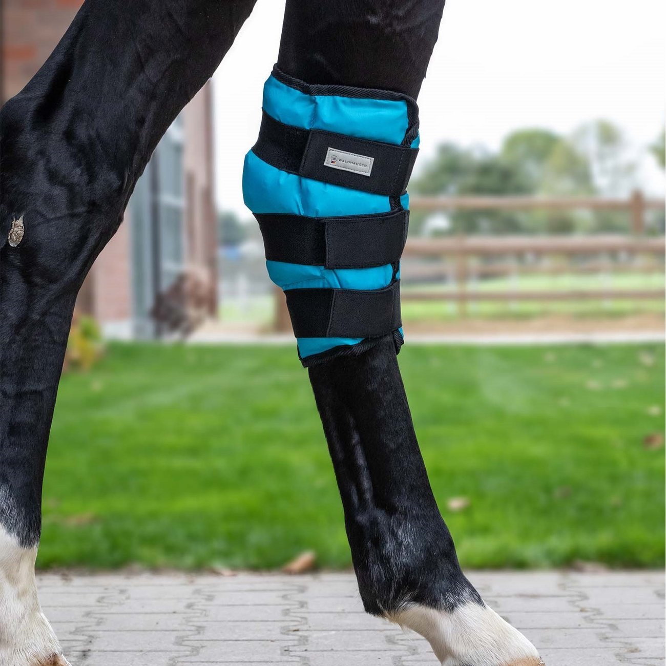 Pferde Kühlgamasche für Sprunggelenke Bild 2