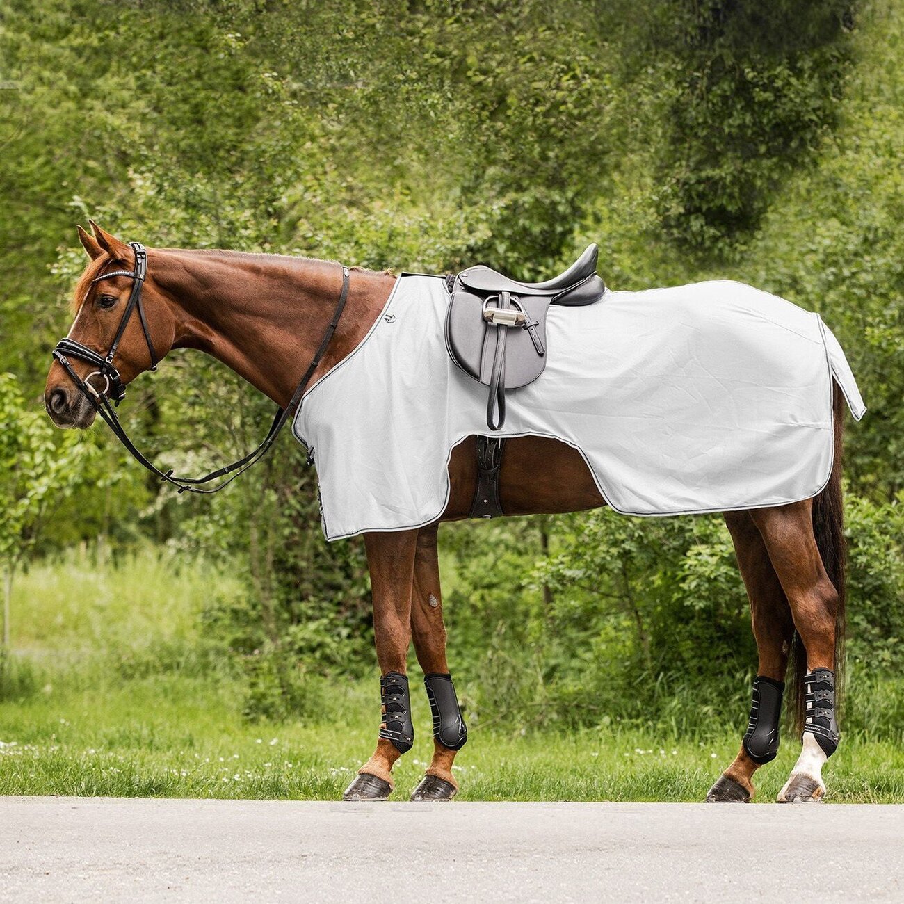 Protect Fliegen Ausreitdecke Bild 3