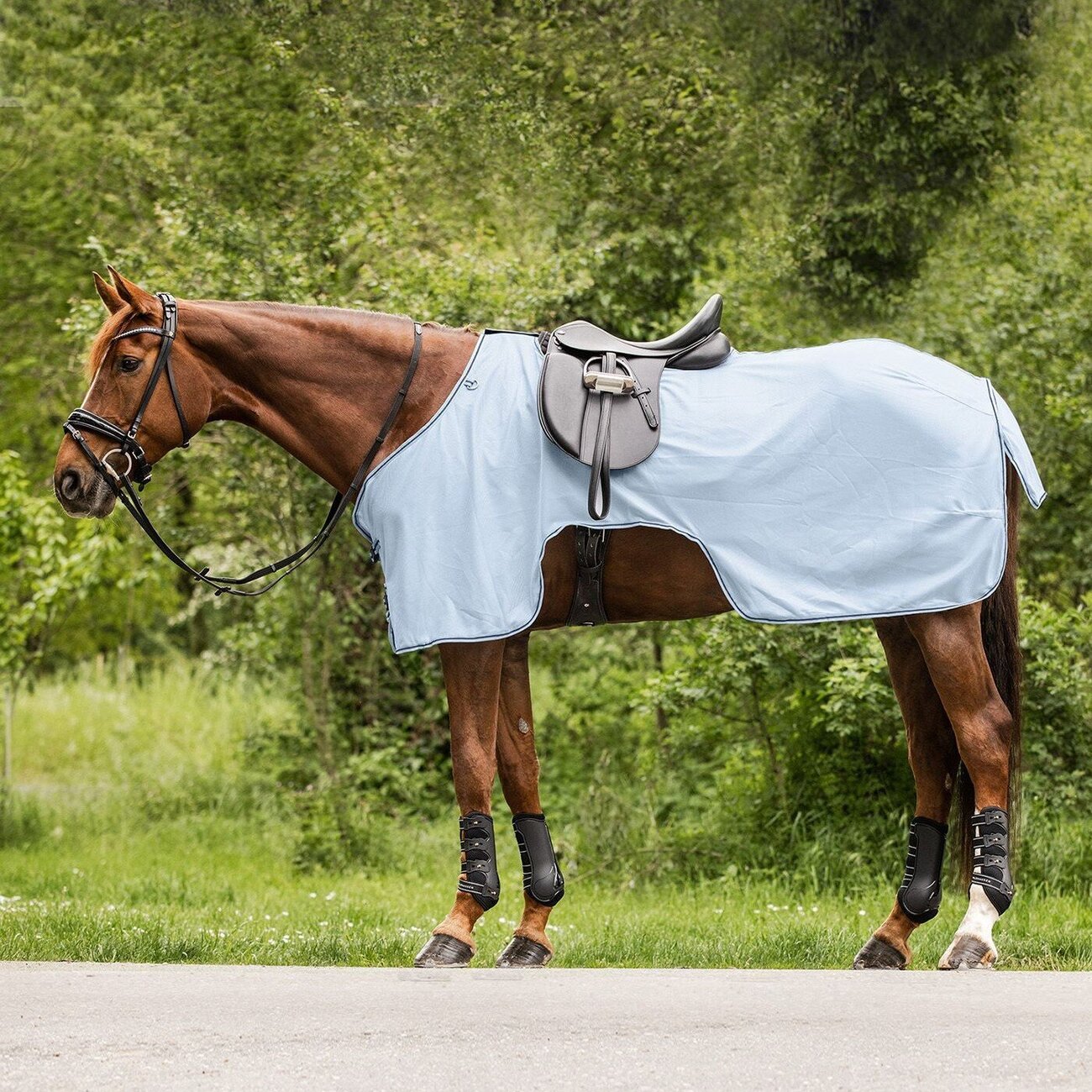 Protect Fliegen Ausreitdecke Bild 5