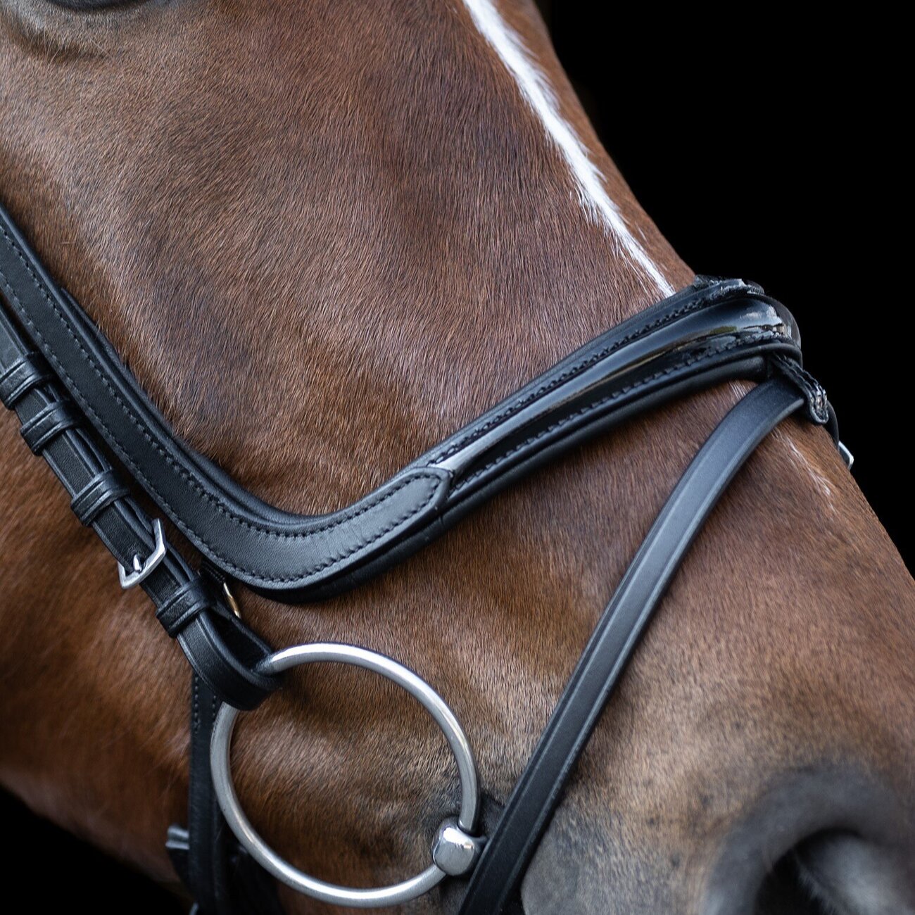 WALDHAUSEN S-Line Trensenzaum Essential - Englisches Reithalfter Braun