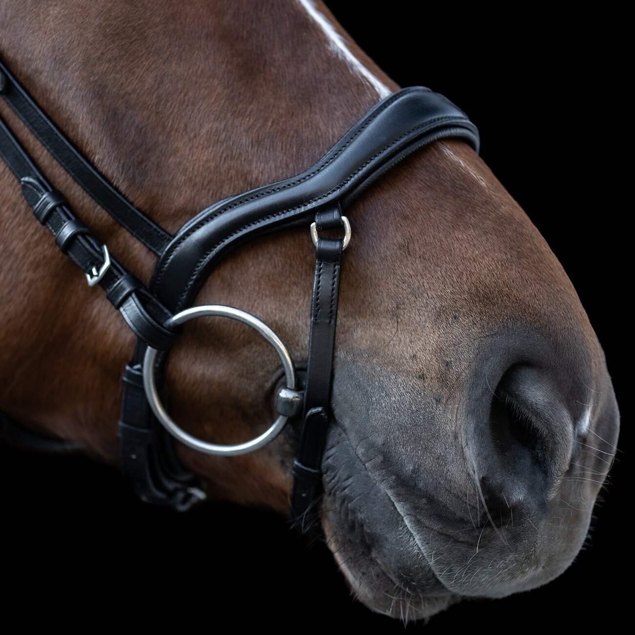 Trensenzaum X Line New Shape II Bild 4