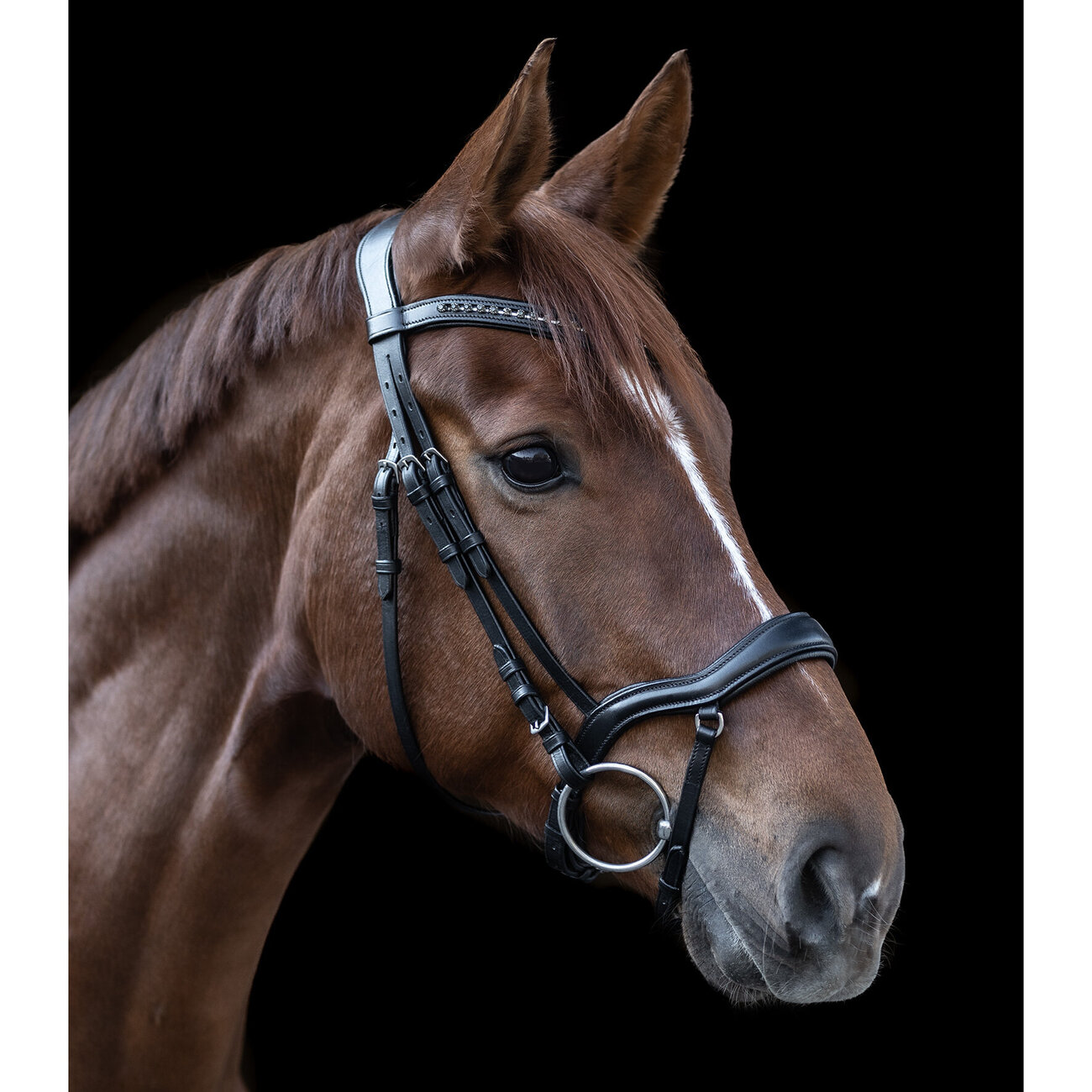 Trensenzaum X Line New Shape II Bild 2