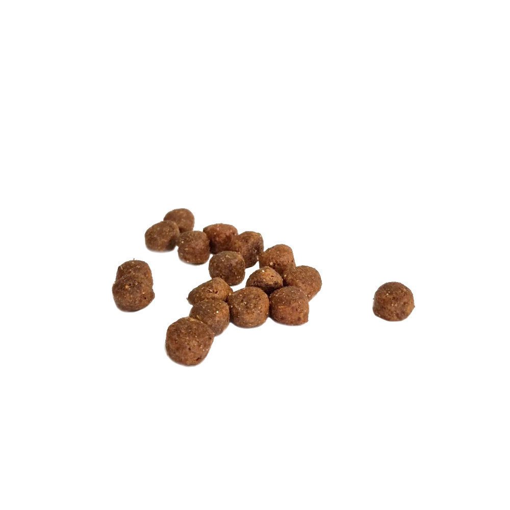 Junior High Premium Hundefutter Bild 2