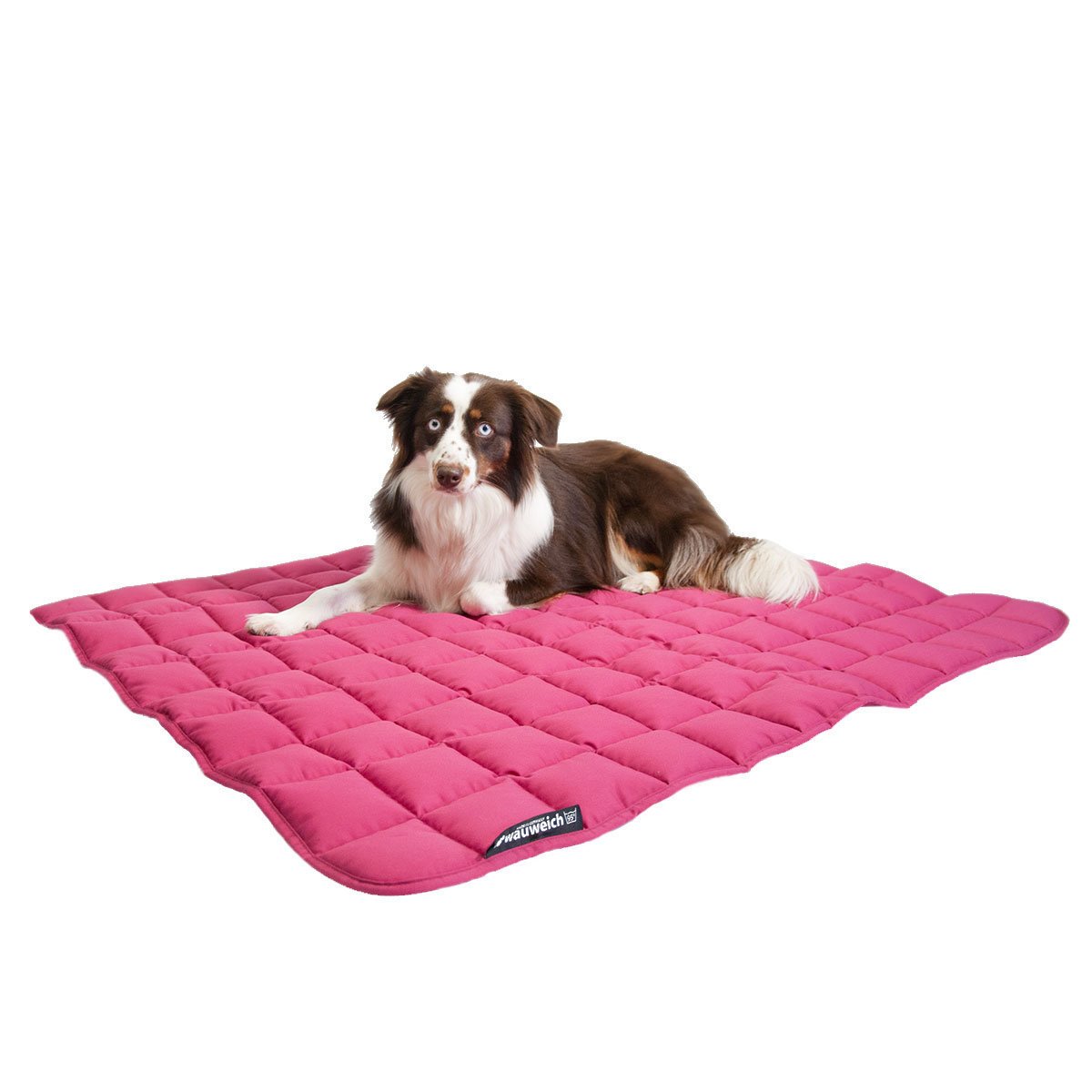 Hundedecke gesteppt 95 Grad Bild 2