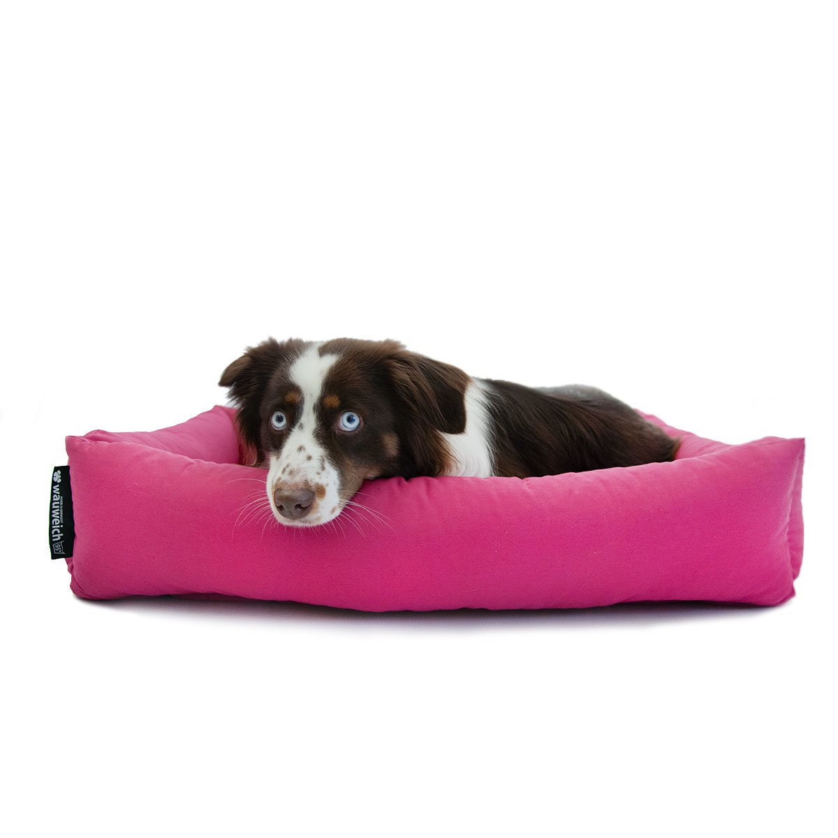 95 Grad gestepptes Hundebett Bild 3