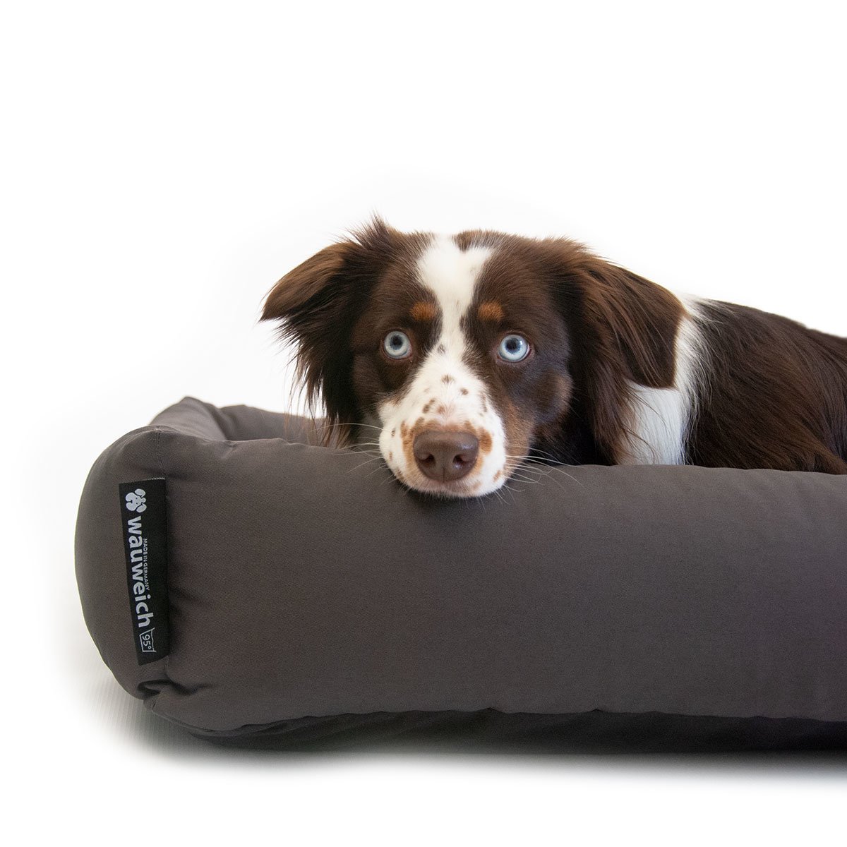 95 Grad Hundebett mit Einlegekissen Bild 4