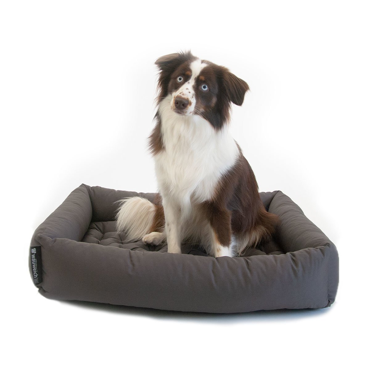 95 Grad Hundebett mit Einlegekissen Bild 2