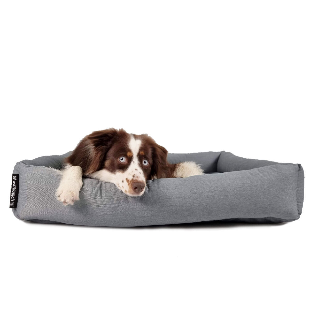 95 Grad Hundebett mit Einlegekissen Bild 15