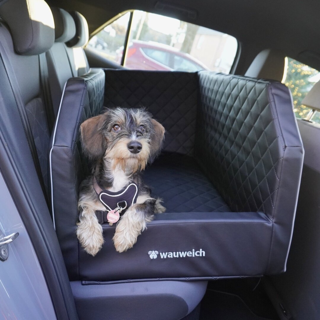 Autobett für Hunde Rückbank Bild 3