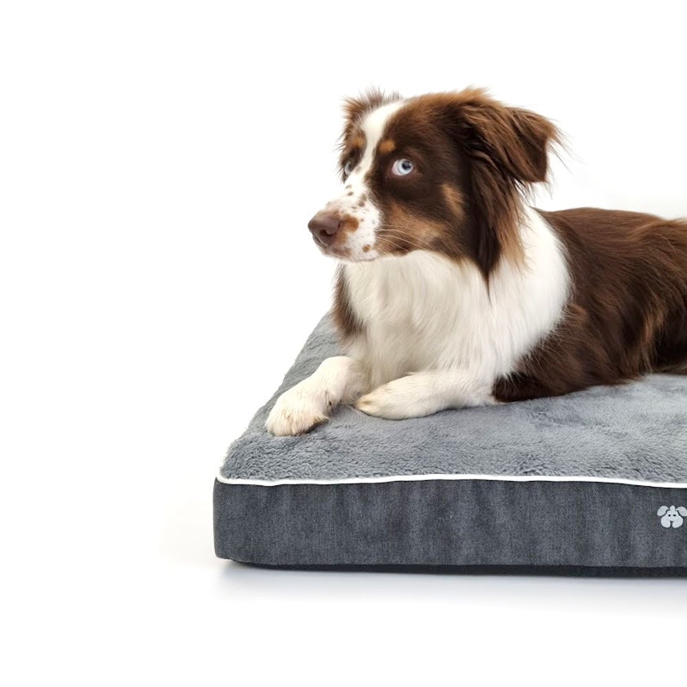 Das Gesunde - orthopädische Hundematratze Bild 4