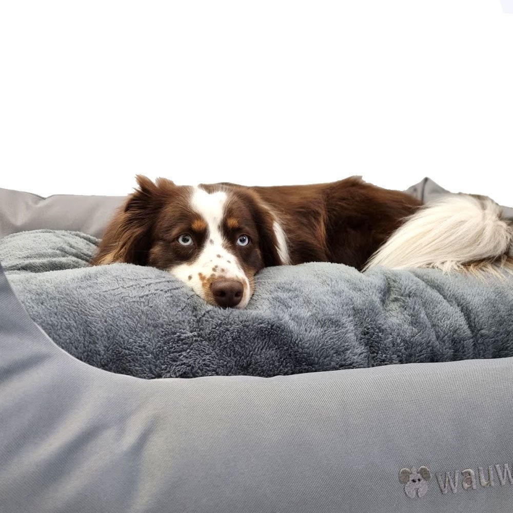 Das Regulierende - Hundebett mit Wendekissen Bild 8