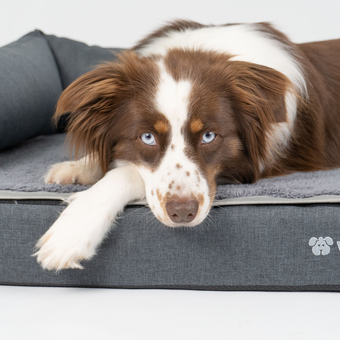 Das Schützende - Hundesofa mit Rand Bild 4