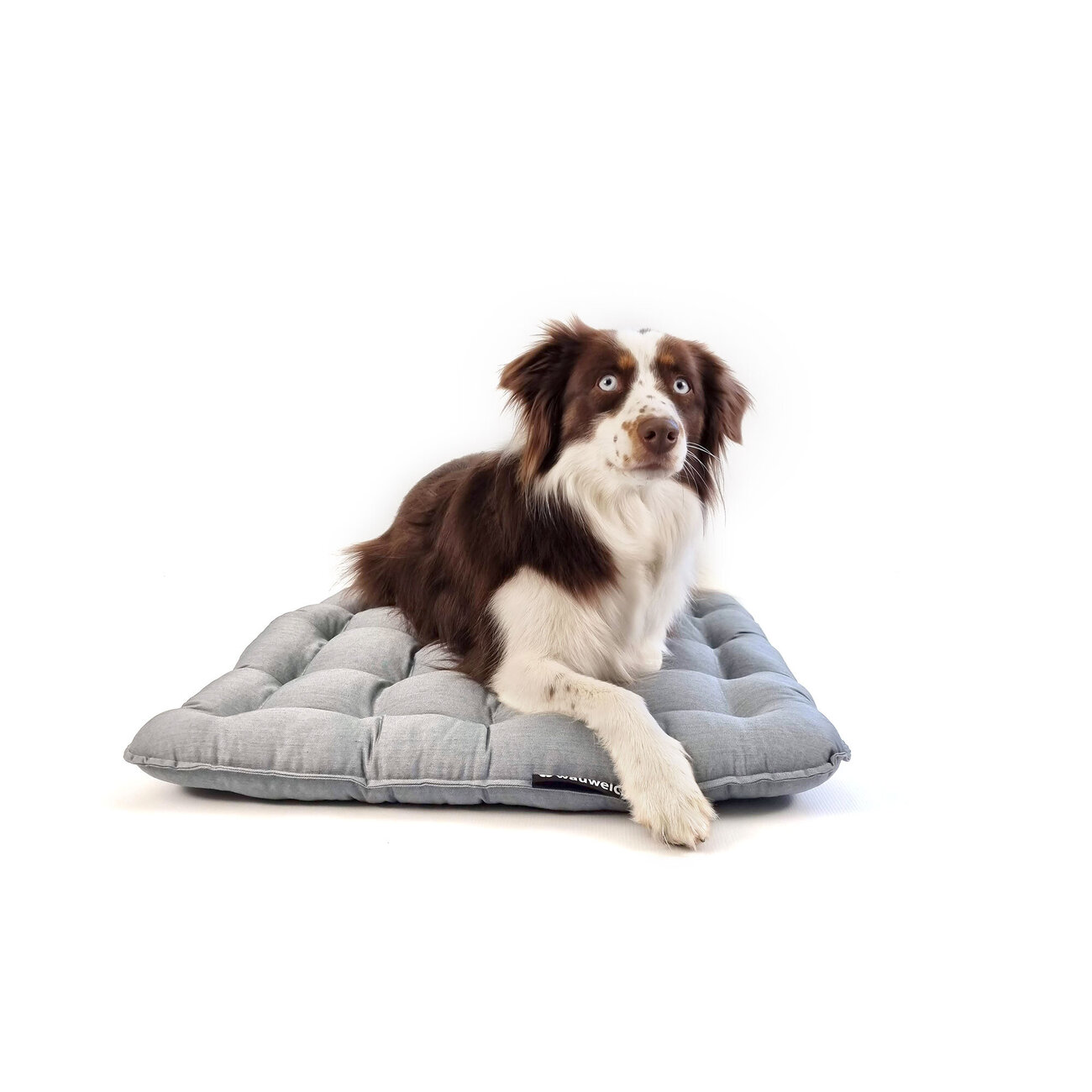 wauweich Hygiene Einlegekissen 95° für Aluboxen Bild 2