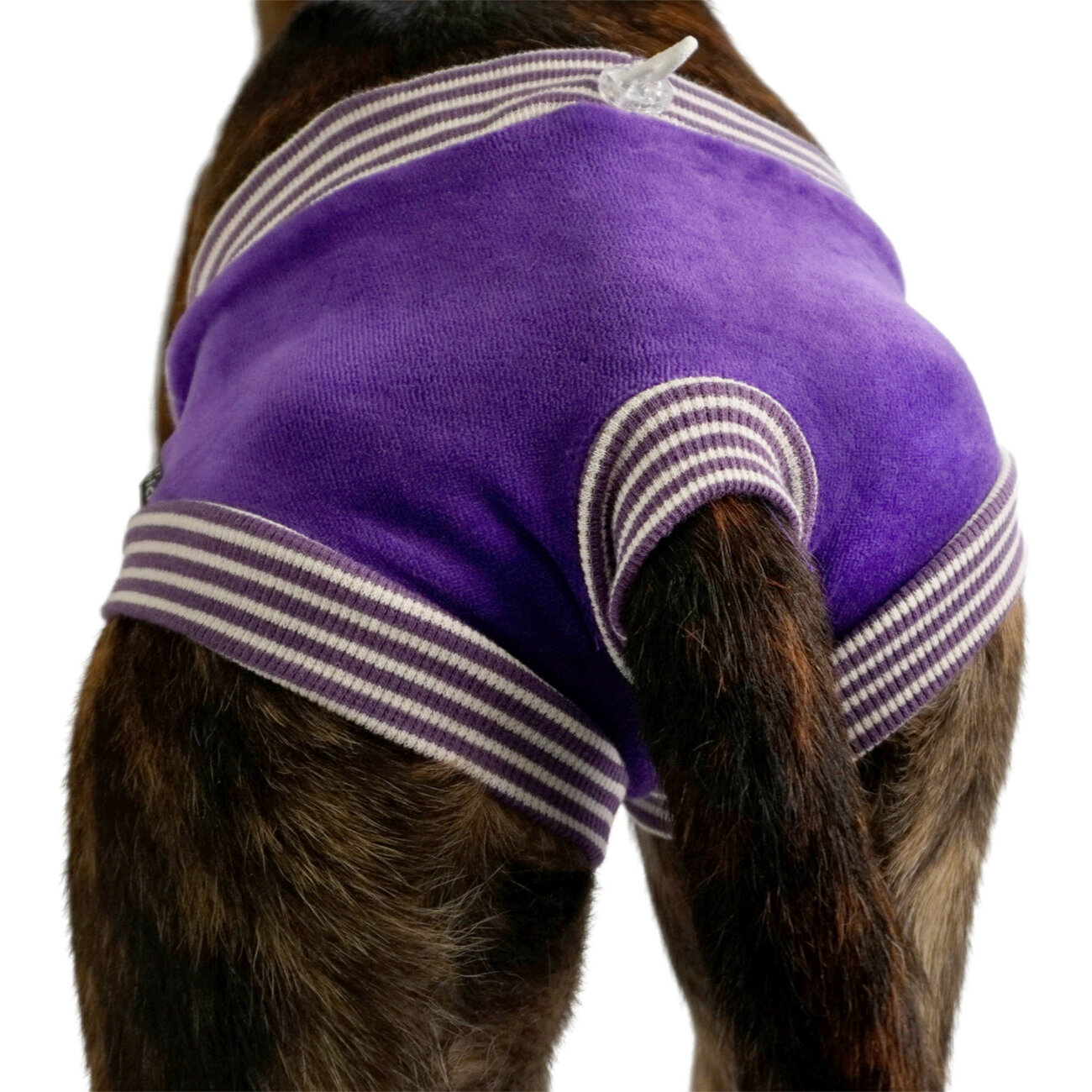 Nicki-Schutzhöschen gestreift Bild 2