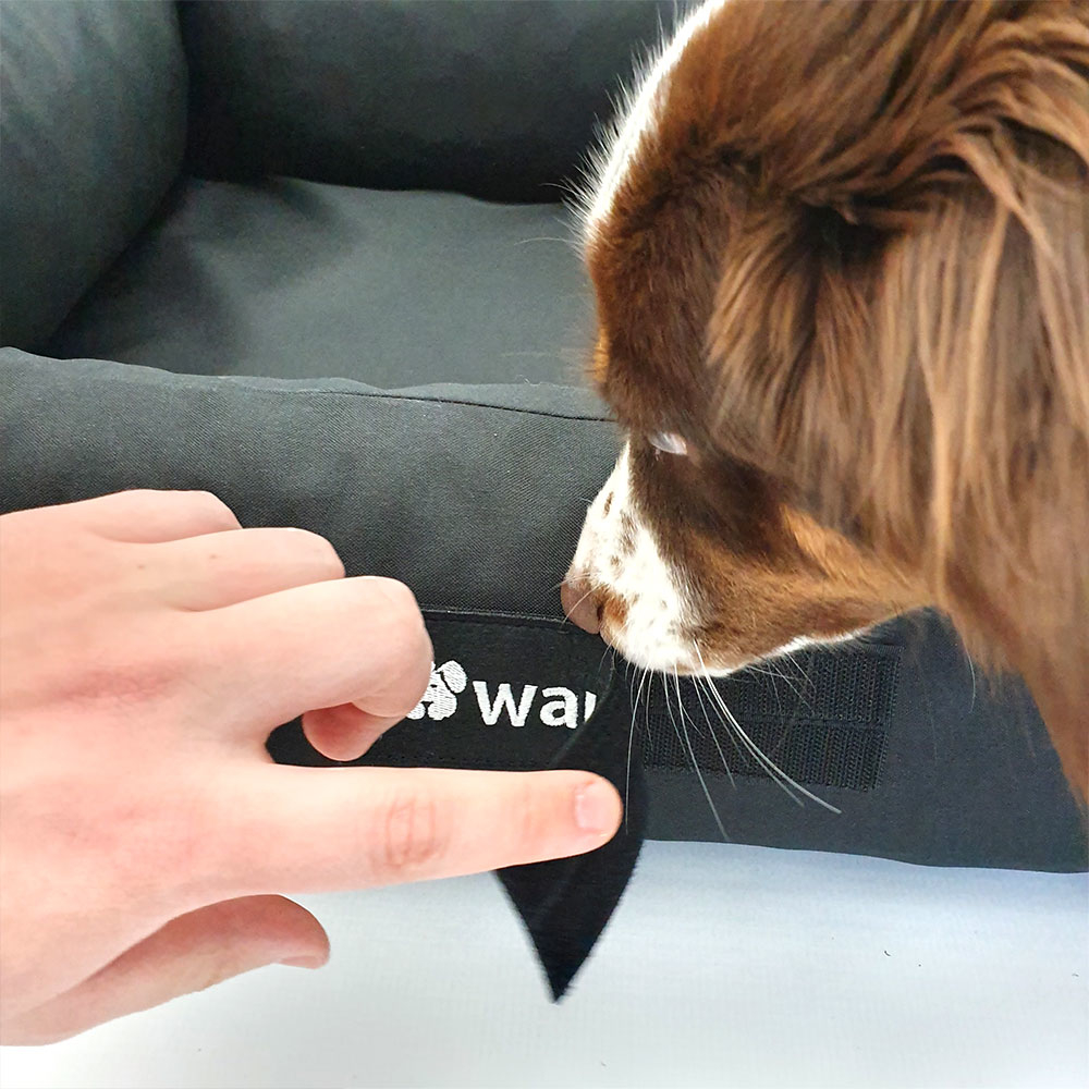 Wauweich Hundebett mit Klettlogo Bild 8