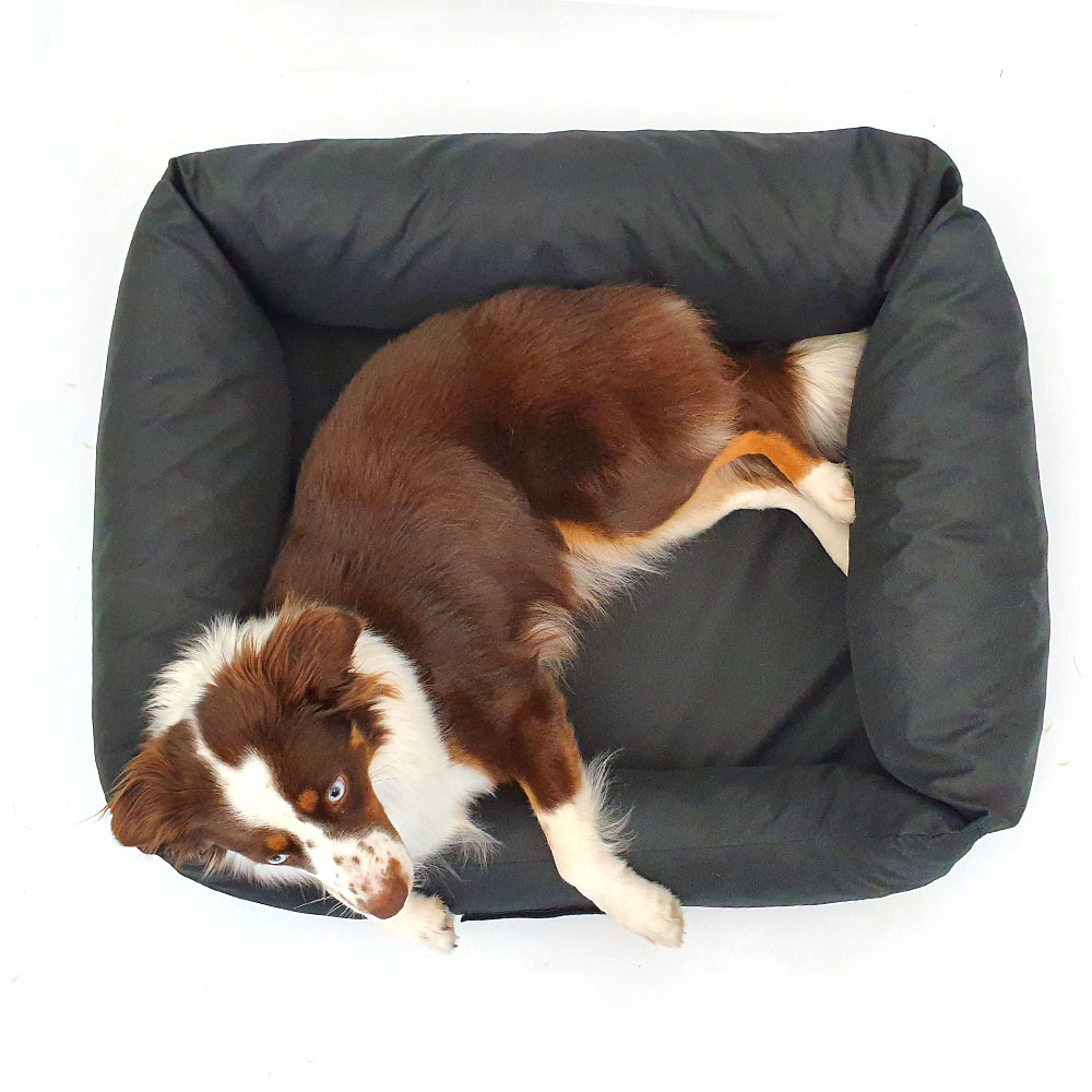 Wauweich Hundebett mit Klettlogo Bild 6